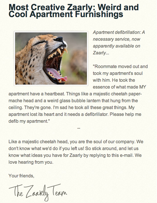 newsletter-personality-layer-user-experience