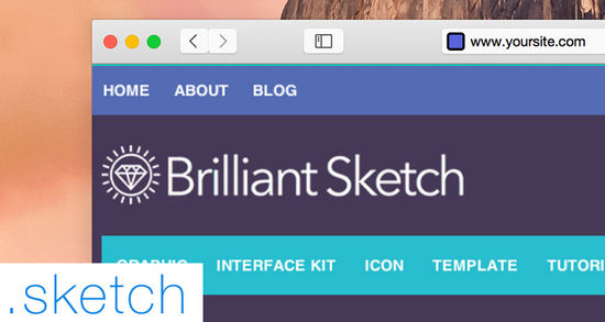 safari.jpg