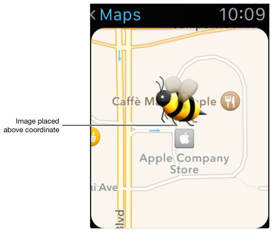 18-map-apple-watch-human-interface-design-guideline-ui-ux-experience-app.png